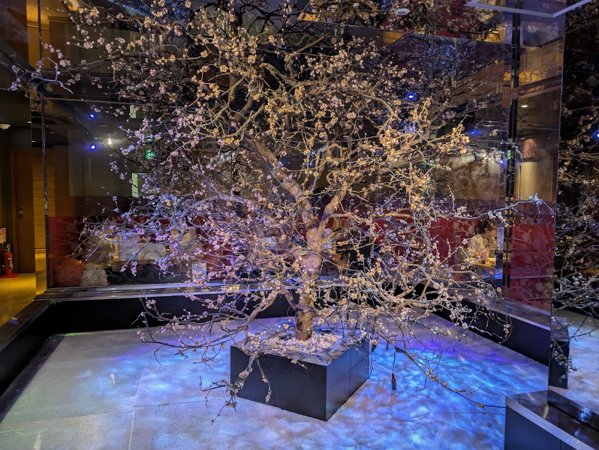 Umeko-No-Ie Yokohama Nishiguchi Photos 2